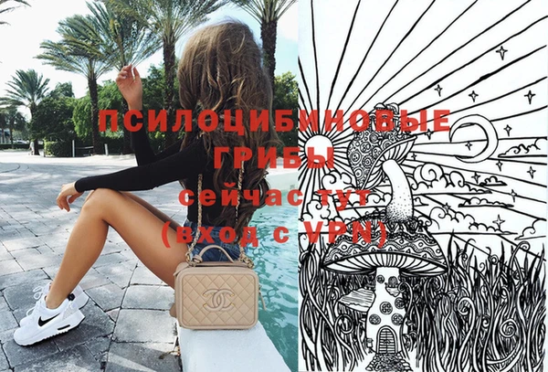 дурь Михайлов