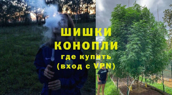 тгк Михайловск